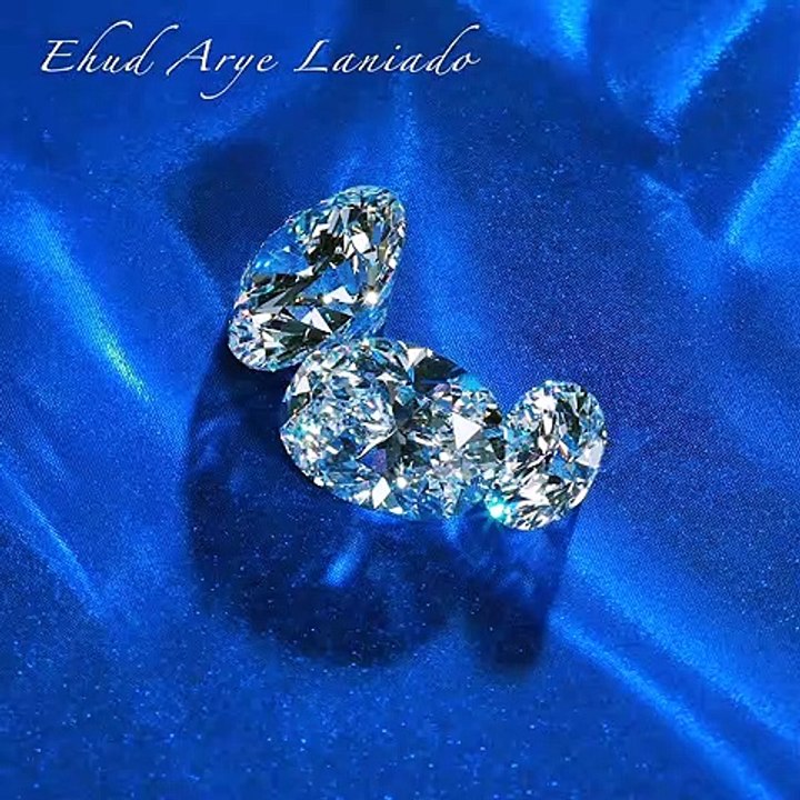 Ehud Arye Laniado - round diamonds