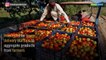 Budget 2019 | Big data meets bigger allocation in Modi's grand plans for farm sector