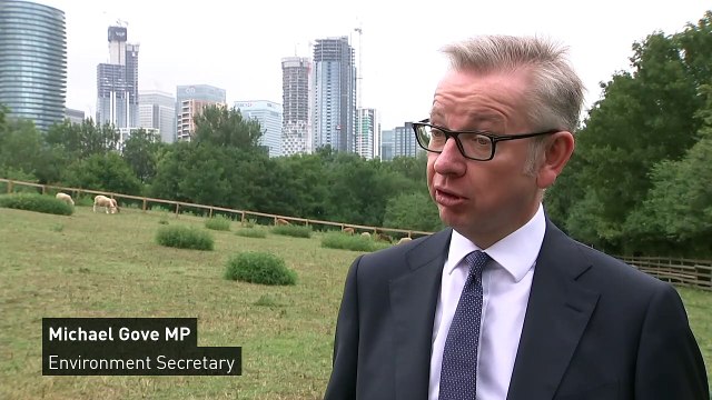 Gove refuses to pick between Hunt and Boris