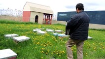 L'apiculteur Ali Agougou de Miel Nature à Beauharnois ouvre une de ses ruches