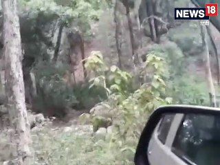 VIRAL VIDEO: हाथियों से पंगा नहीं... गुस्साए हाथियों ने खिलौने की तरह धकेला कारों को