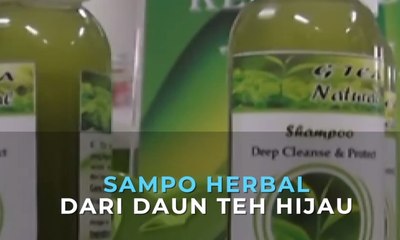 Sampo Herbal dari Daun Teh Hijau, Ingin Coba?