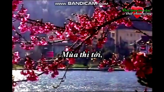 RU CHIỀU | Nhạc Hồ Hoàng - Thơ Ngô Hằng - Biểu diễn Phương Oanh