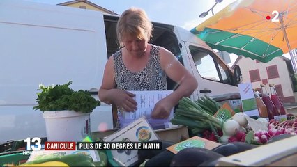 Bas-Rhin : la canicule bouleverse les habitudes des habitants