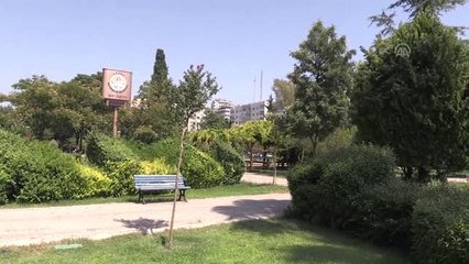 "Sarı sıcak"