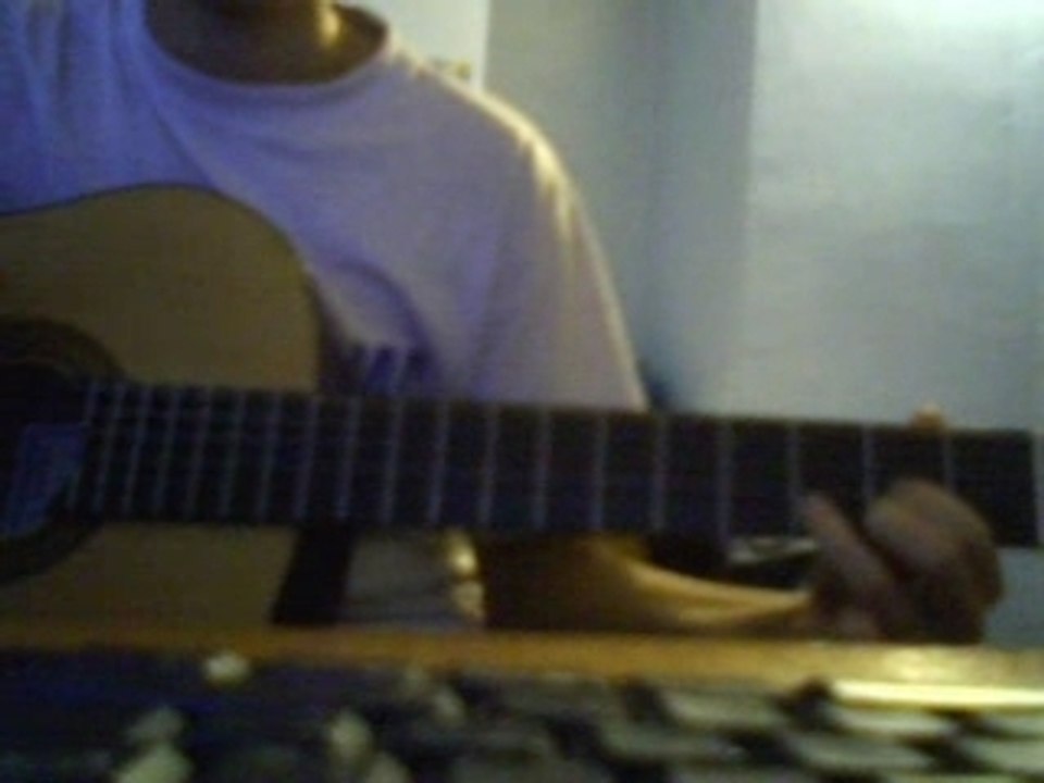 Animal_Instinc_Cranberies_Guitare