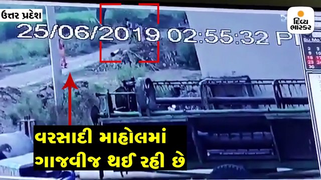 આંબા પરથી કેરી ખેરતાં યુવક પર વીજળી પડી, લોકોની નજર સામે ભડથું