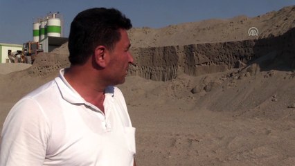 Kırlangıç yuvaları için zarar etmeyi göze aldılar - DİYARBAKIR