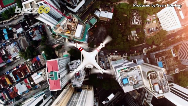 Birds of Prey! Russia Disguised a Drone to Look Like an Owl to Fool its Enemies