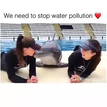 Cette vidéo sur la lutte contre la pollution des mers est tres poignant. Regardez !