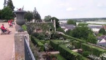 Blois-Jardins évéché (1)
