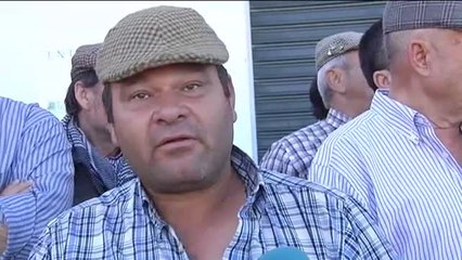 La celebración de la 'Saca de Yeguas' cumple 515 años