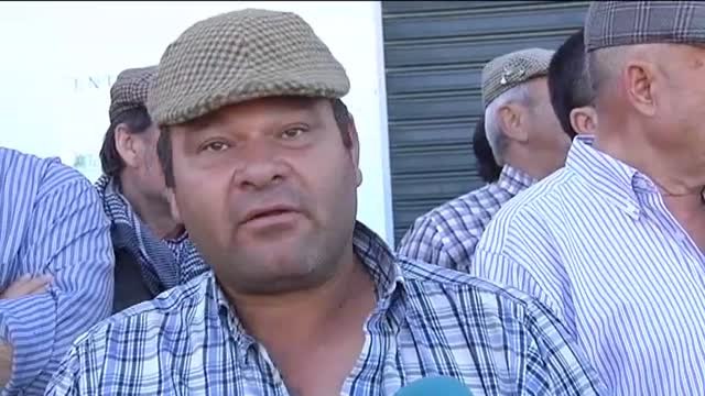 La celebración de la 'Saca de Yeguas' cumple 515 años