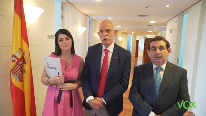 Vox solicita a Defensa una “radiografía” del cese de los militares a los 45 años