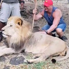 Cet homme est le meilleure ami d'un lion très imposant. Regardez !