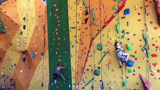 5 fourmis au travail