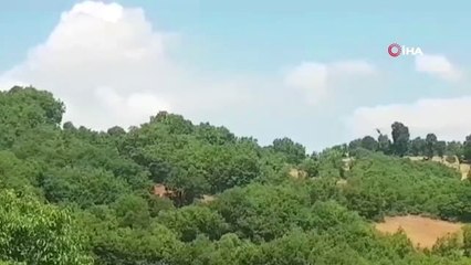 Tunceli'de 3 terörist etkisiz hale getirildi