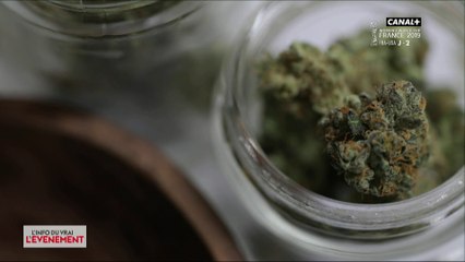Cannabis thérapeutique : un médicament pertinent ? - L'Info du Vrai du 26/06 - CANAL+