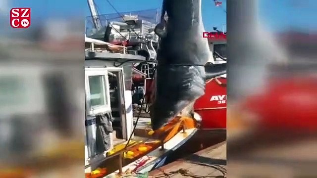 Gören çep telefonuna sarıldı