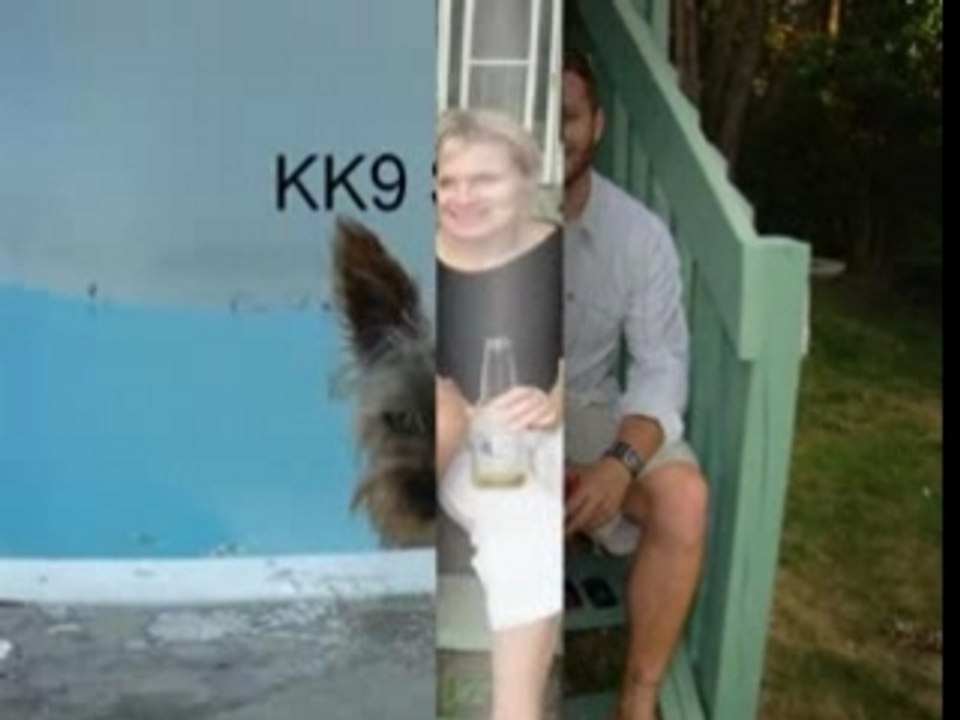 Online Marketing Social Media Specialists - Kuikene