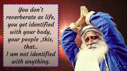 I am just here reverberating as life, not identified with anything