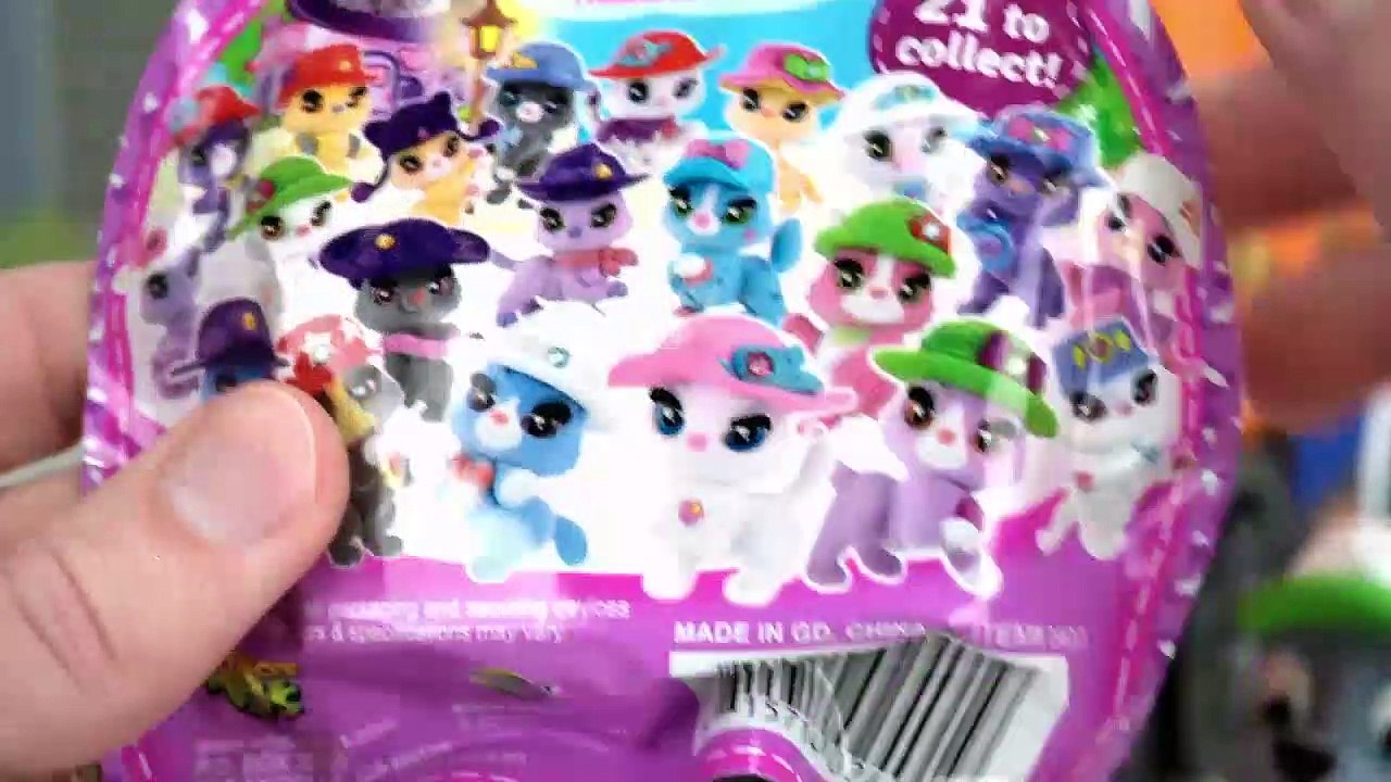 Surprise Toys in Paw Patrol Rocky's Recycling Truck!