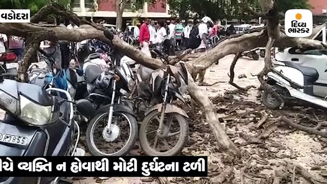 નર્મદા ભવન ખાતે તોતિંગ વૃક્ષ ધરાશાયી થતાં કાર અને બાઇકનો કચ્ચરઘાણ વળી ગયો