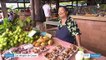 Guyane : les Hmong, réfugiés du Laos, devenus les premiers agriculteurs du territoire