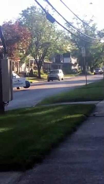 Cabbie Kick Kids Ball From Car