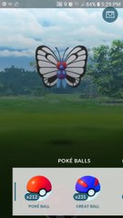 Pokémon GO Butterfree