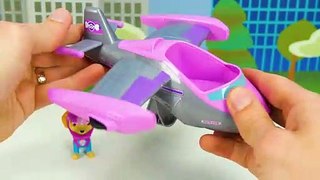 Learn Colors with Wrong Color Paw Patrol Sea Patrol Vehicles!