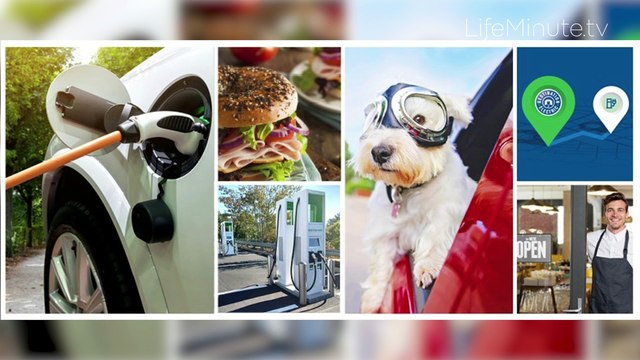 Destination Electric Celebrates Businesses Supporting Driving Electric