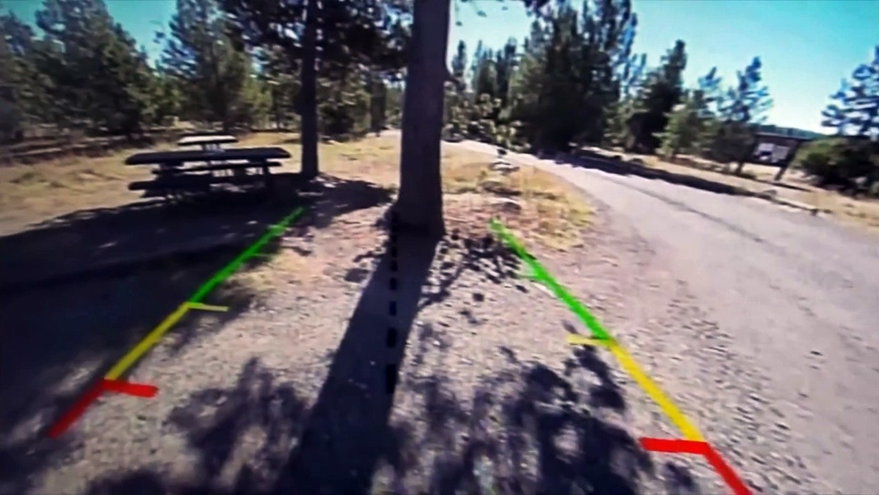 Becoming Animal Film