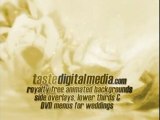 Wedding backgrounds, video loops and motion clips