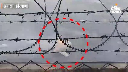 वायुसेना का लड़ाकू विमान पक्षी से टकराया