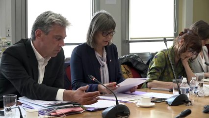 Commission d'enquête sur l'inclusion des élèves handicapés dans l'école et l'université de la République, quatorze ans après la loi du 11 février 2005 - Dieppe - 6e_audition - Mercredi 26 juin 2019