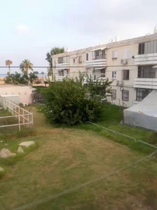 The tree that got cut Down because it got Cut down too Fast