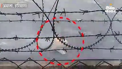 अंबाला में जगुआर से पक्षी टकराया, पायलट ने बम और फ्यूल टैंक नीचे गिराकर सुरक्षित लैंडिंग कराई