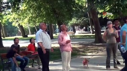 Taksim'de ağaçta mahsur kalan kedi itfaiyeye zor anlar yaşattı