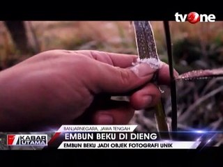 Ratusan Wisatawan Berburu Embun Es Dieng