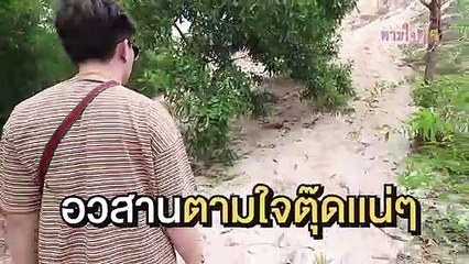 Teaser #ตามใจตุ๊ด EP.24 หอยไม่ใหญ่ แต่ไข่อลังการ 