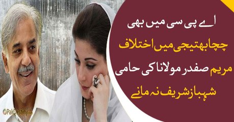 Maryam and Shehbaz kept on opposing each other in APC