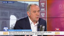 Didier Guillaume: 