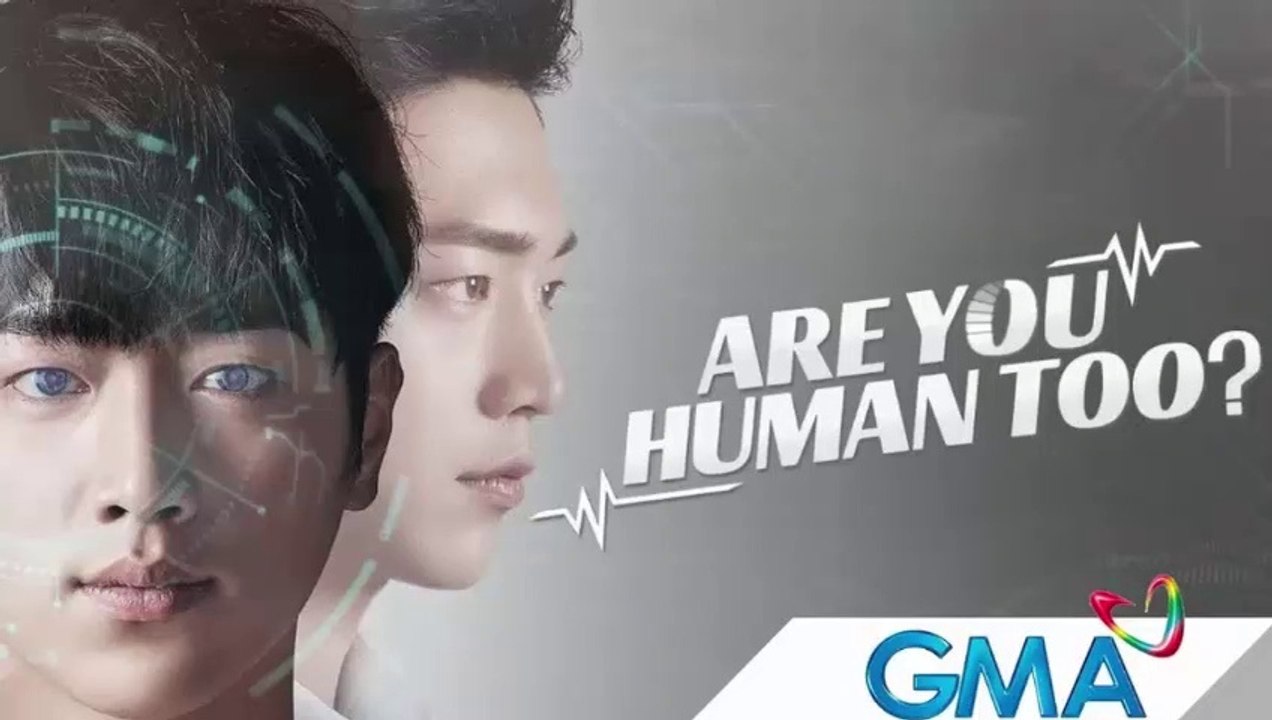 AYH19