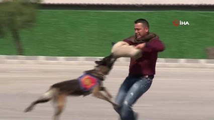 JÖAK, 18 ülkeden gelen 43 temsilciyi hayran bıraktı