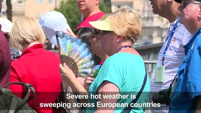 Zoo keepers keep animals cool with ice treats