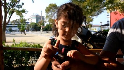 Yavru ebabil kuşu bulundu