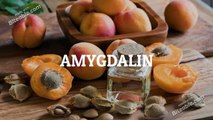 Amygdalin  B17 Vitamin Injectable