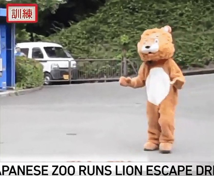 Japanese Zoo Runs Lion Escape Drill