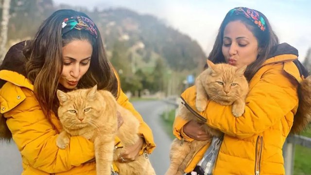 Hina Khan enjoys with cute Cat during Switzerland vacations; Check out | FilmiBeat